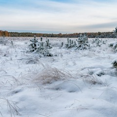 item_1100093_pic_1_orig