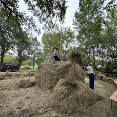 item_1105250_pic_1_orig